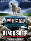 Photo : Black Sheep