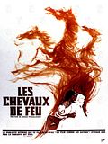 Photo : Les Chevaux de feu