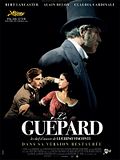 Photo : Le Guépard