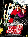 Photo : Les Chats persans