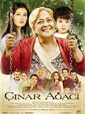 Photo : Çınar Ağacı