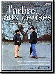 Photo : L'arbre de les cireres