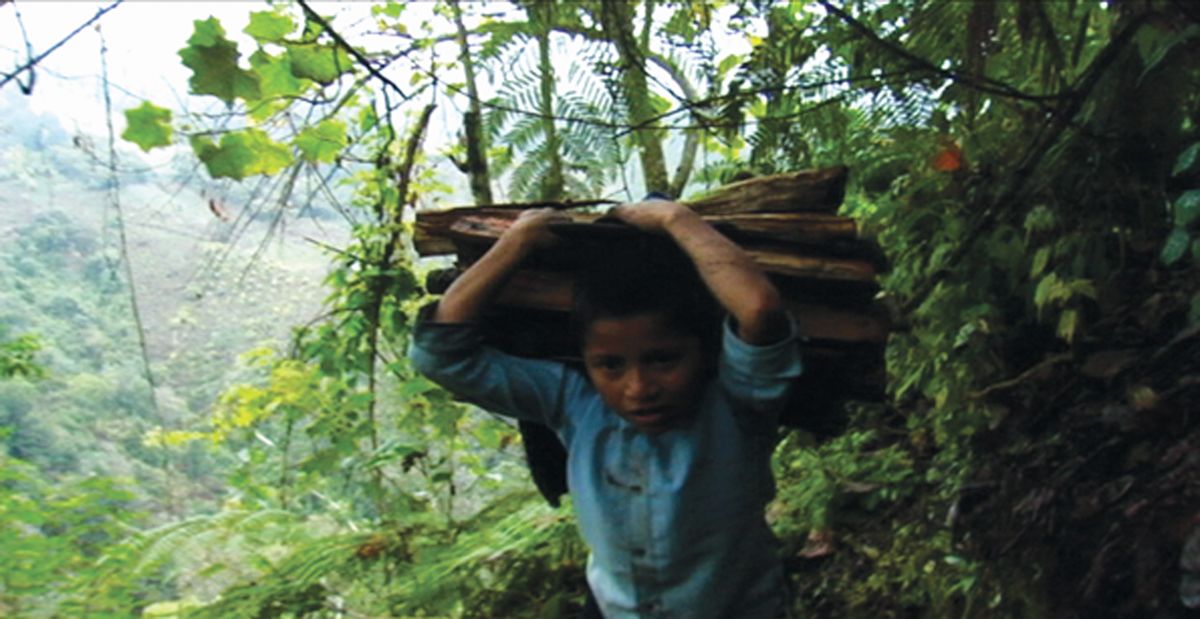 Los Herederos - Les Enfants héritiers : photo