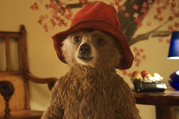 Film Avec Des Animaux Qui Parlent Paddington, Babe, Stuart Little : ces animaux qui parlent... - AlloCiné