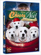 Les Chiots Noël, la relève est arrivée Les Chiots Noël, la relève est arrivée