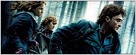 "Harry Potter 7" en tête du box-office France 2010 !