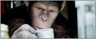 Les singes grimpent au sommet du box-office français !