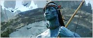 "Avatar", film le plus piraté de tous les temps !