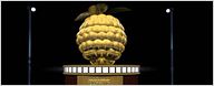 Razzie Awards 2012 : les nominations des "pires de l'année"