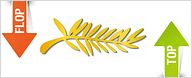 Cannes 2012 : les favoris pour la Palme d'Or