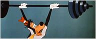 "Dingo fait de la gymnastique" - Prêts pour les JO ?
