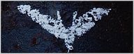 "The Dark Knight Rises" : une chanson pour les victimes de la tuerie !