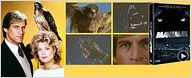 En DVD : "Manimal" l'intégrale ! [VIDEO]