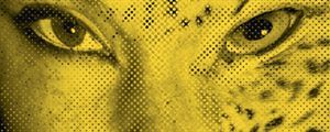65ème Festival de Locarno: le palmarès !