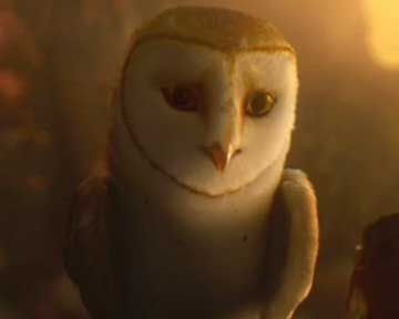 <strong>Le Royaume de Ga'Hoole - la légende des gardiens</strong> Bande-annonce VO