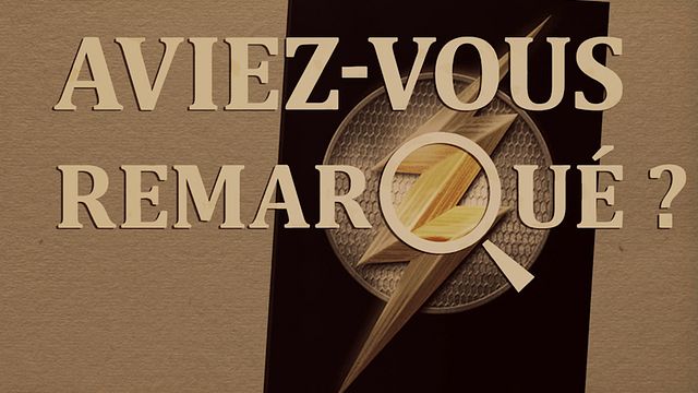 Aviez-vous remarqué ? Flash