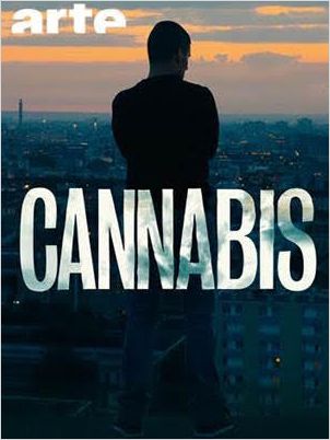 Cannabis saison 1 Cannabis saison 1