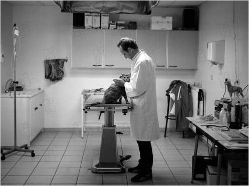 Entre ses mains : photo Anne Fontaine, Benoît Poelvoorde