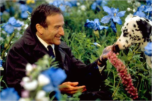 Au-delà de nos rêves : Photo Robin Williams, Vincent Ward - AlloCiné