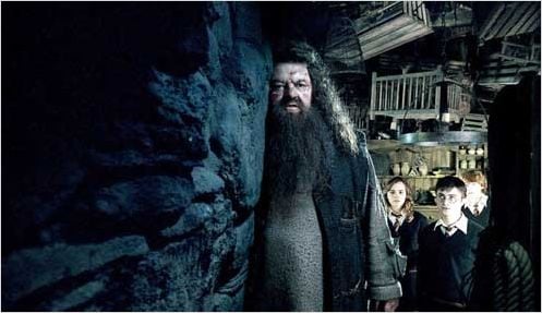 Harry Potter et l'Ordre du Phénix : Photo Daniel Radcliffe, David Yates, Emma Watson, Rupert Grint