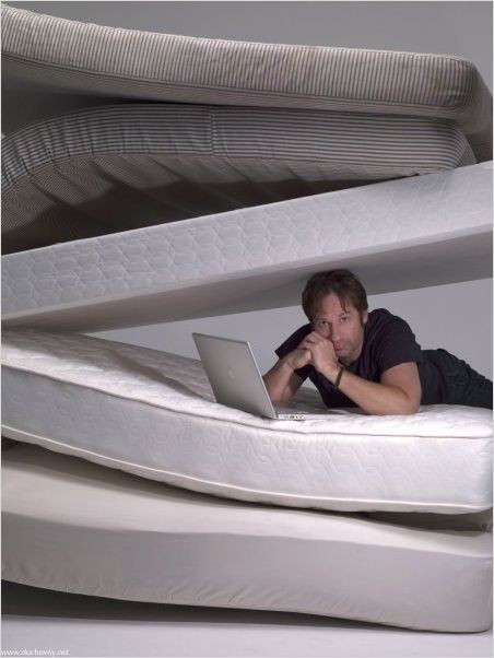 Californication : Photo David Duchovny
