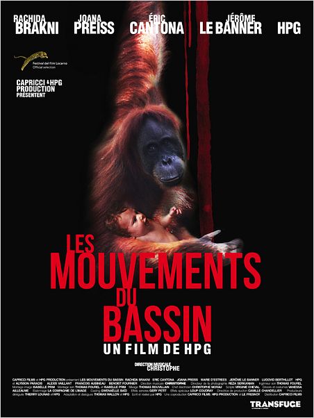 Les Mouvements du bassin : affiche