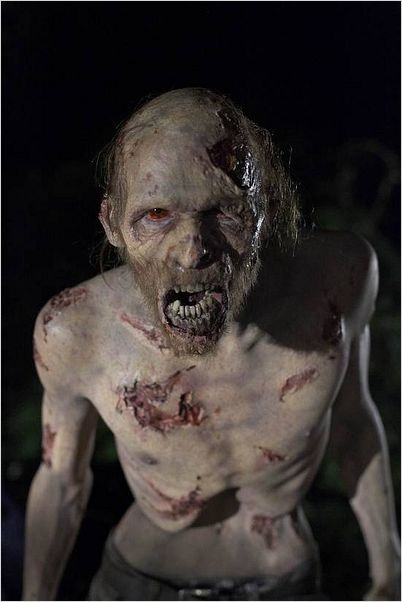 The Walking Dead : photo