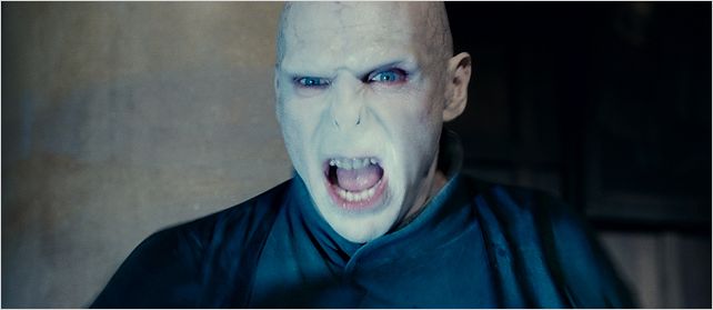 Harry Potter et les reliques de la mort - partie 2 : photo David Yates, Ralph Fiennes