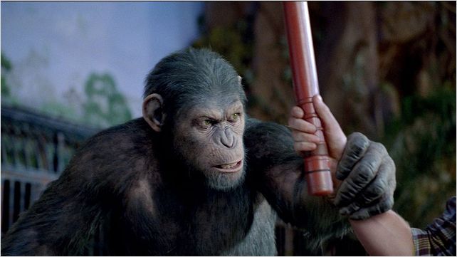 La Planète des singes : les origines : Photo Rupert Wyatt