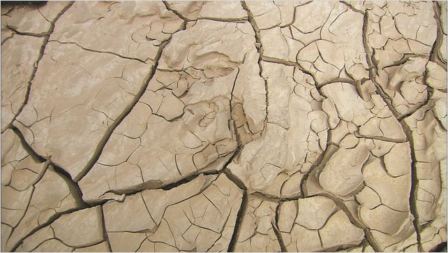 Water, le pouvoir secret de l’eau : photo