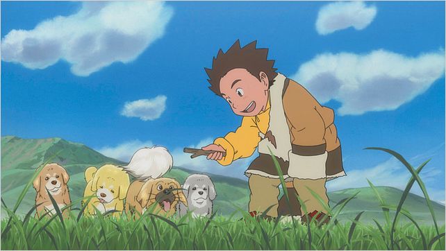 Le Chien du Tibet : photo