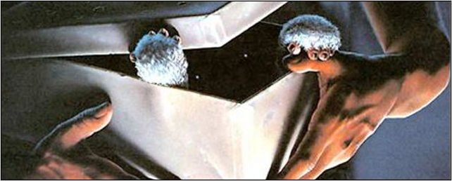 "Gremlins" : nouvelle rumeur de reboot !