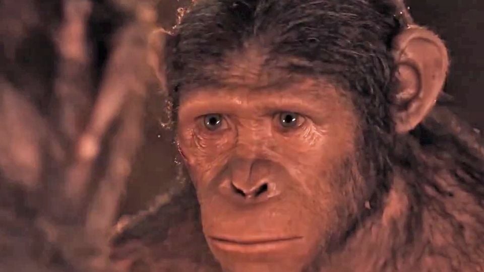 La Planète Des Singes Film 2014 La Planète des singes : l'affrontement - film 2014 - AlloCiné