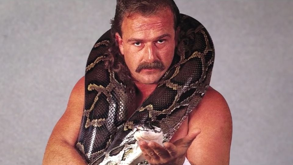 The Resurrection Of Jake The Snake Dvd