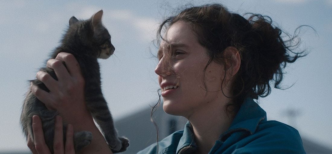 Photo du film Sorry, Baby