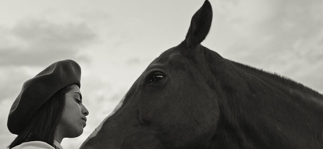 Photo du film Les Cavaliers des terres sauvages