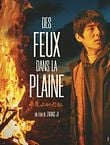 Des Feux dans la Plaine