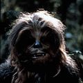Photo Peter Mayhew