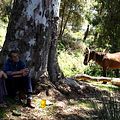 Photo Zahir Bouzerar