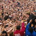 Photo Pete Doherty