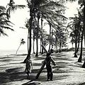 Photo Gloria Menezes
