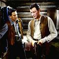 Photo Robert Taylor
