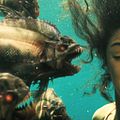 Photo Jessica Szohr