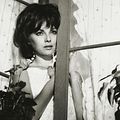 Photo Virna Lisi