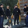 Photo Mark Harmon