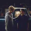 Photo Callan McAuliffe