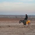 Photo Adnan Abu Muhareb