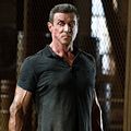 Photo Sylvester Stallone