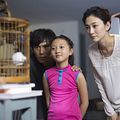 Photo Yang Xin Yi