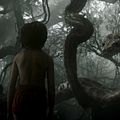 Photo Neel Sethi